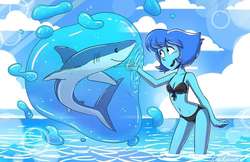 lappy and shark.jpg